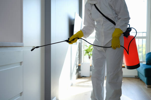 Trusted Benbrook, TX Mold Removal Experts